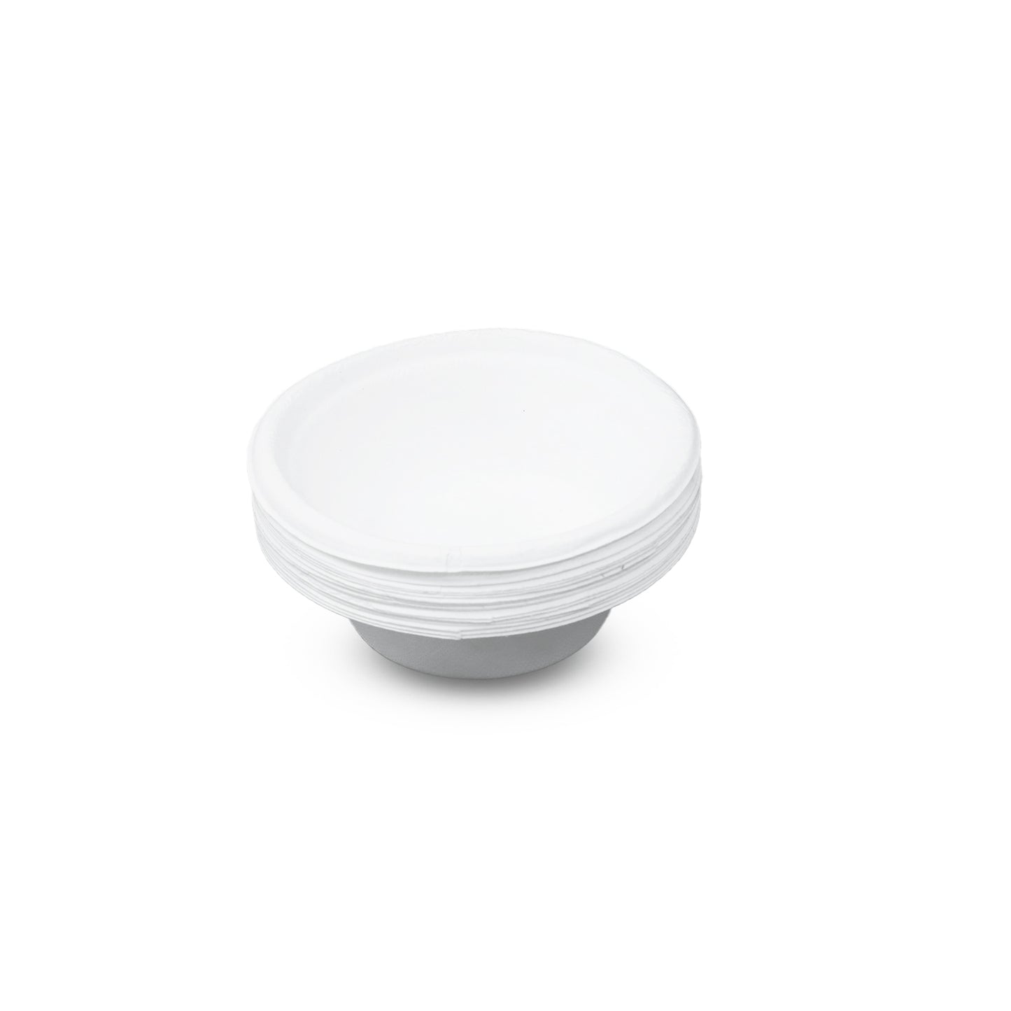 Bagasse Bowl