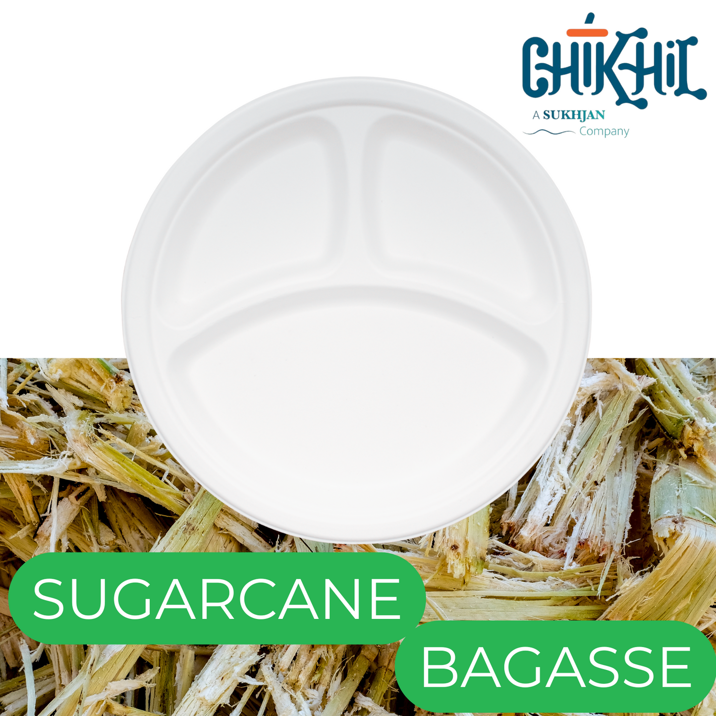 Bagasse Plates