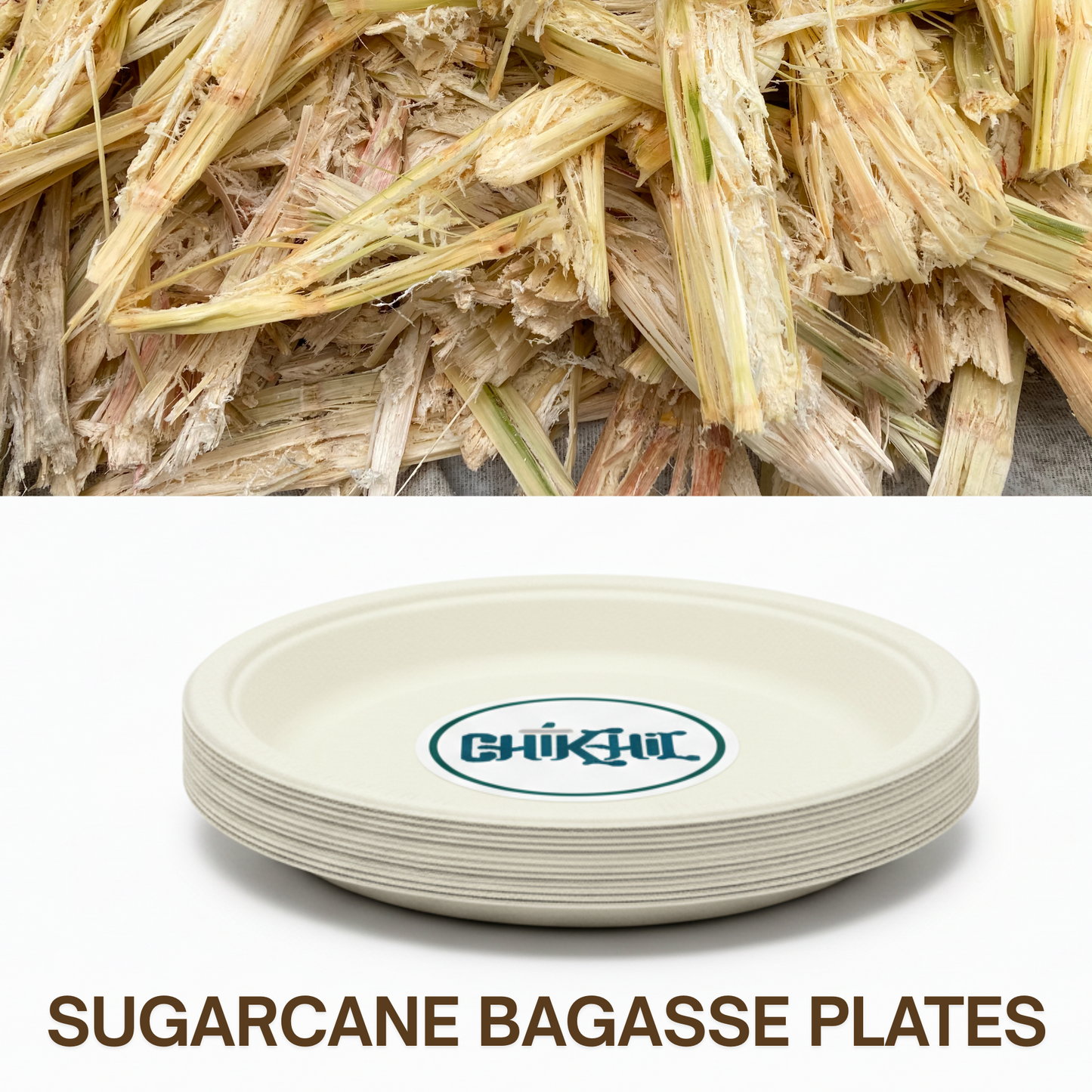 Bagasse Plates